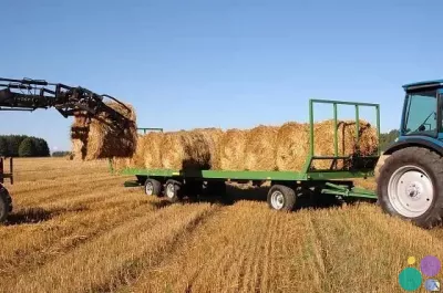 Рулоновоз 11/15